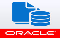 Oracle数据库管理工具有哪些?-北京mk体育手机站官方网站入口公司