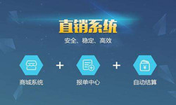 手机直销系统mk体育手机站官方网站入口价格-北京软件外包公司