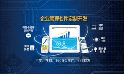 Erpmk体育手机站官方网站入口的发展现状-北京mk体育手机站官方网站入口公司mk体育手机站官方网站入口