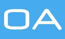 软件外包公司、OA系统开发功能有哪些？费用是多少-mk体育手机站官方网站入口公司[北京mk体育手机站官方网站入口]
