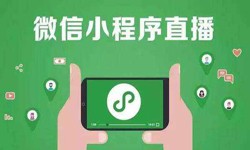 微信小程序开发、直播小程序开发-mk体育手机站官方网站入口mk体育手机站官方网站入口公司 