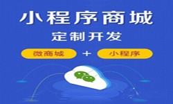 微信小程序开发、商城小程序开发功能-mk体育手机站官方网站入口mk体育手机站官方网站入口