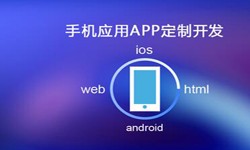 APP开发市场上常见问题分析-北京mk体育手机站官方网站入口公司